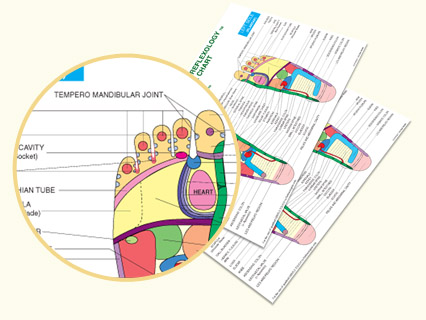 GTR Plantar Chart.jpg